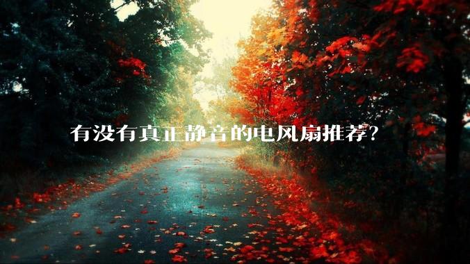 有没有真正静音的电风扇推荐？