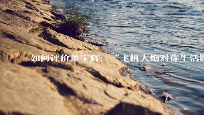 如何评价董宇辉：“飞机大炮对你生活影响其实并不大，小家电才是真正提升每个人生活质量”这个观点？