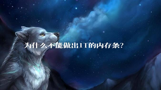 为什么不能做出1T的内存条？