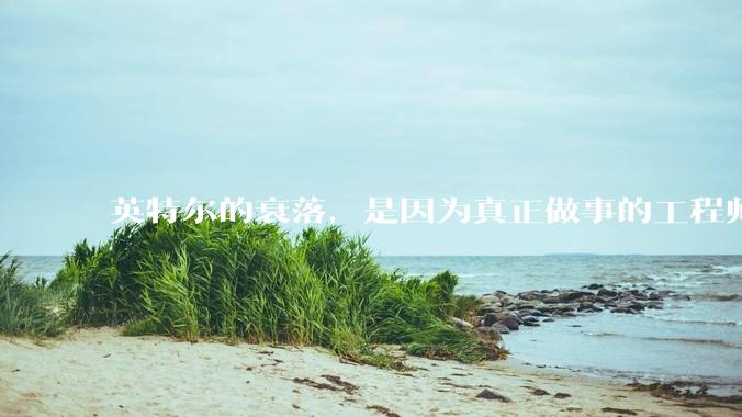 英特尔的衰落，是因为真正做事的工程师被挖了？还是公司战略出问题？