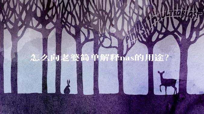 怎么向老婆简单解释nas的用途？
