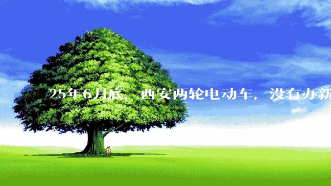 25年6月底，西安两轮电动车，没有办新的牌照的不允许上路了，并且需要对应的驾照才能骑。是真的吗？