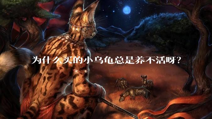 为什么买的小乌龟总是养不活呀？