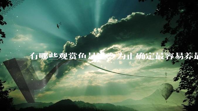 有哪些观赏鱼是迄今为止确定最容易养最不容易死的？