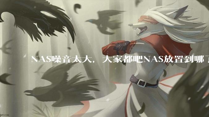 NAS噪音太大，大家都吧NAS放置到哪了？