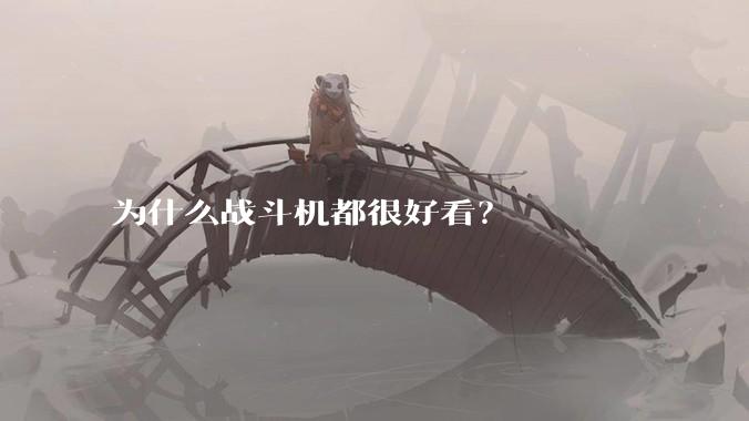 为什么战斗机都很好看？