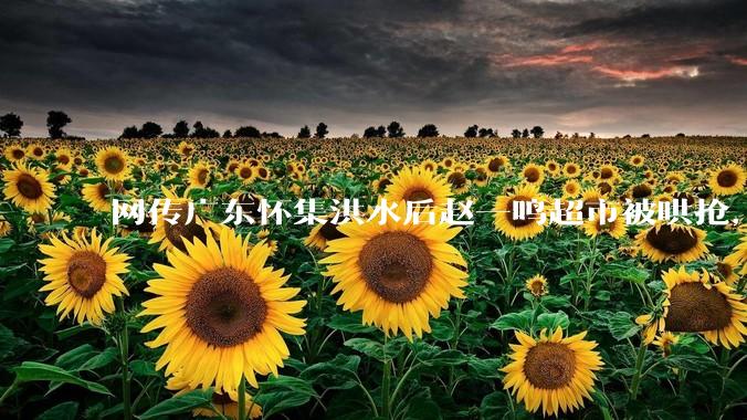 网传广东怀集洪水后赵一鸣超市被哄抢，县***回应相关单位正在核实，若属实哄抢者该承担哪些法律责任？