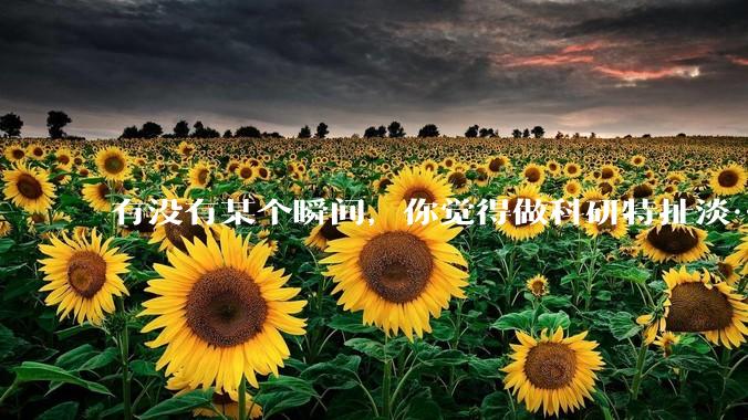 有没有某个瞬间，你觉得做科研特扯淡……?