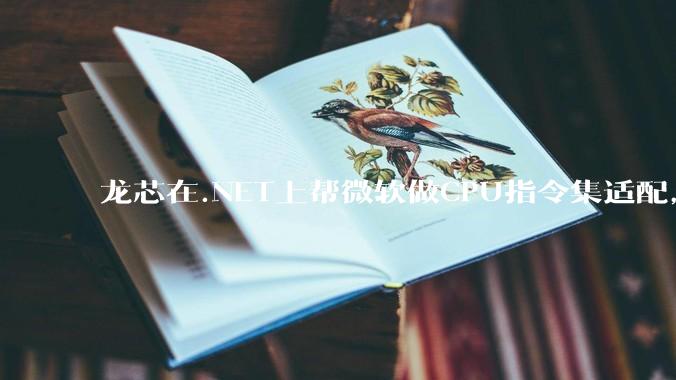 龙芯在.NET上帮微软做CPU指令集适配，为什么到国内.NET开发者这里成了维护龙芯.NET版本?