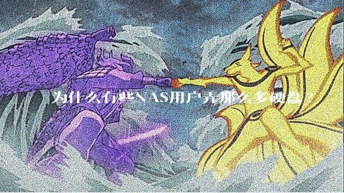 为什么有些NAS用户弄那么多硬盘?