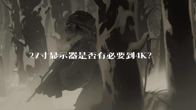 27寸显示器是否有必要到4K？